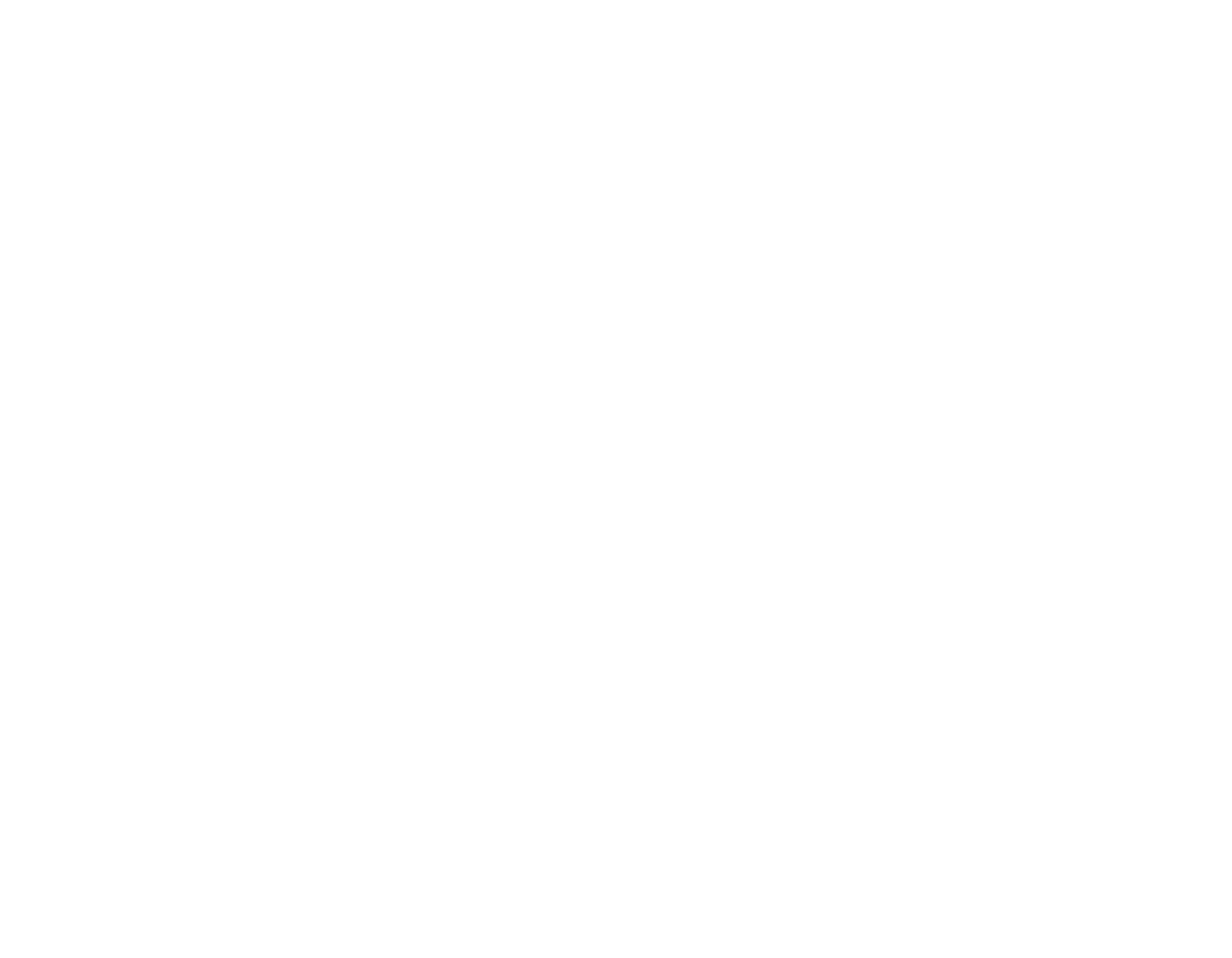 logo IBM business partner
