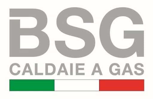 Logo BSG